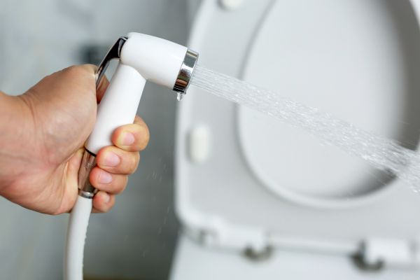 Bidet Installation in Redwood City