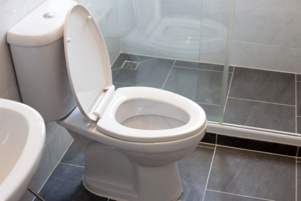 Toilet Replacement in Redwood City