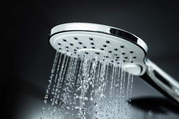 Cost of Shower Head Replacement in Redwood City