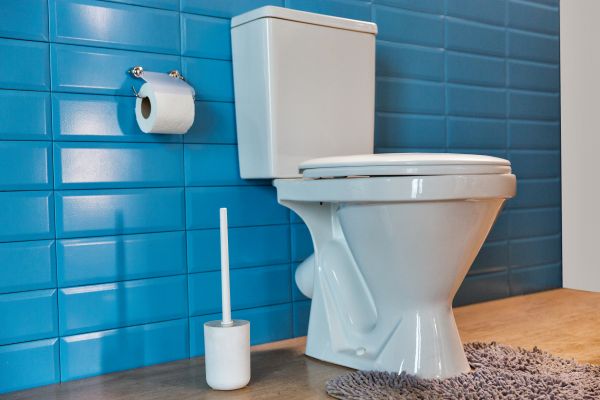 Cost of Toilet Tank Repair in Redwood City